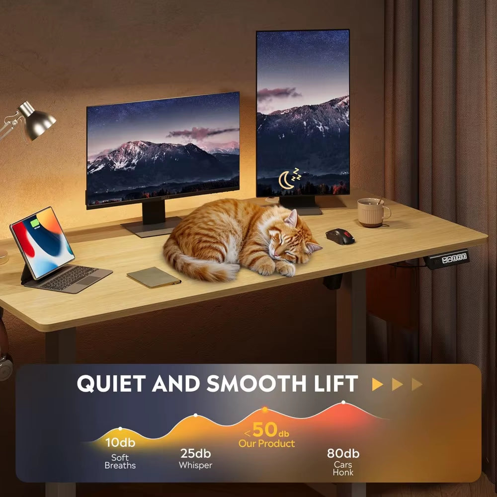 2x4'  Ergonomic Motorized Desk