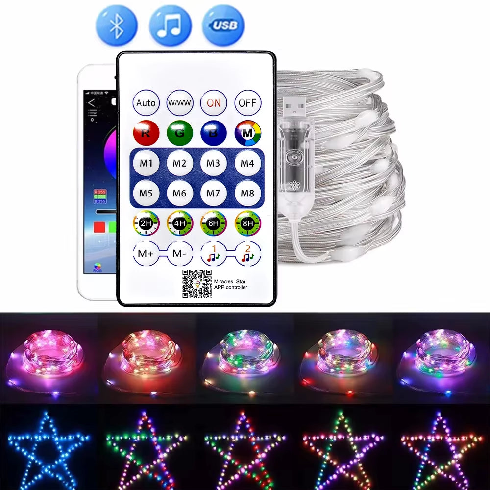 App or Remote Controlled Programmable Fairy Lights