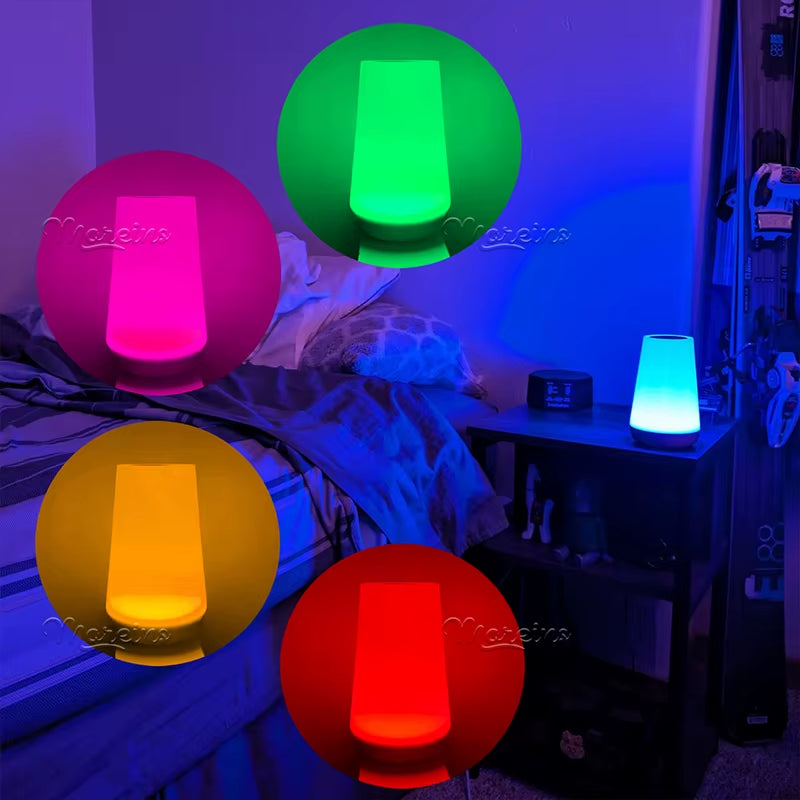 13 Color RGB LED Touch Control Lamp